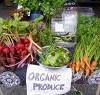Organics for Good Health