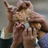 Food Riots-Who's Responsible?