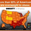 wpid-obesity-overweight-statistics-diet-plan