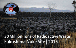 fukushima-waste-bags