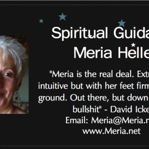 Consultations With Meria